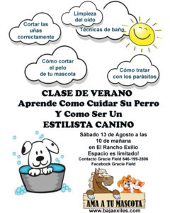 flyer spanish 02 copy