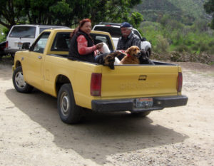 Baja Exiles spay neuter