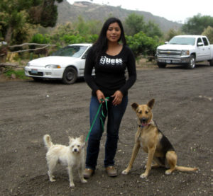 Baja Exiles spay neuter