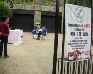 Baja Exiles spay neuter