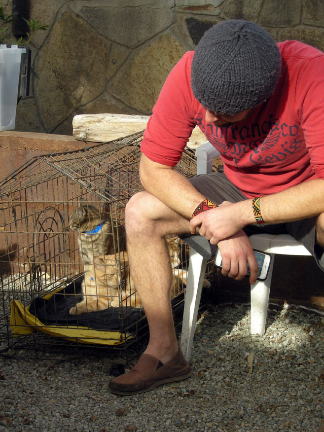 baja exiles spay neuter