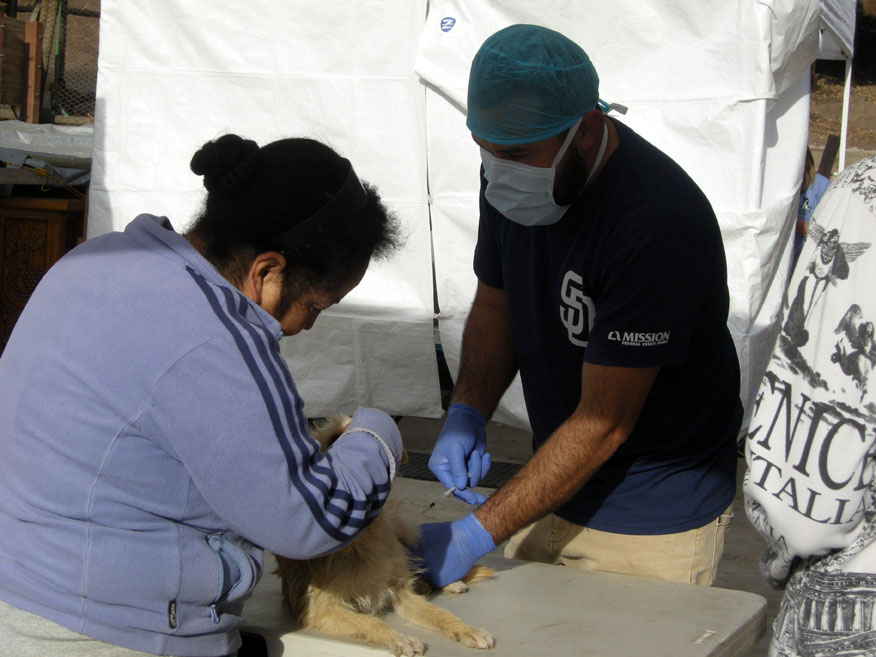 baja exiles spay neuter