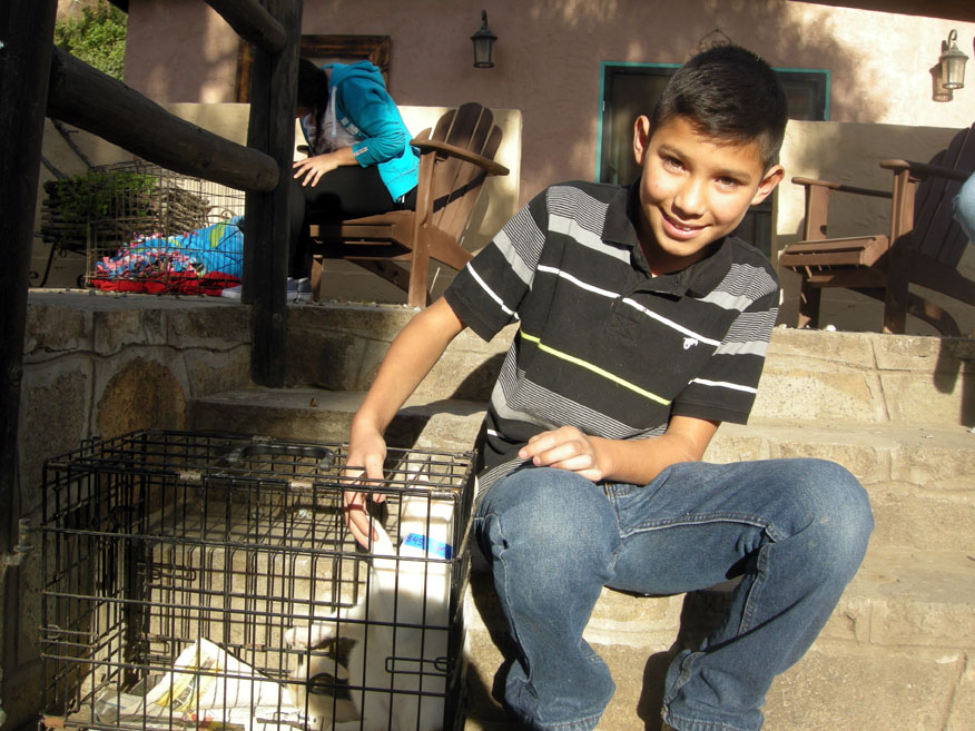 baja exiles spay neuter