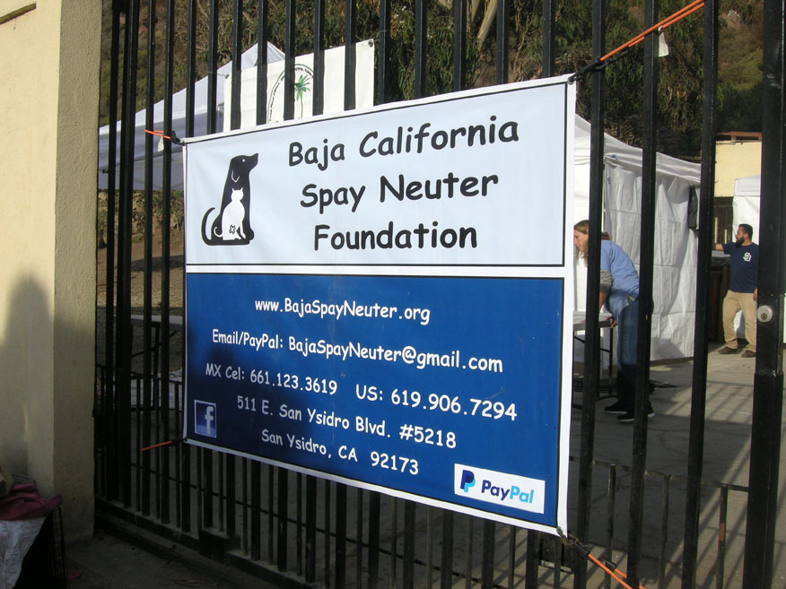 baja exiles spay neuter