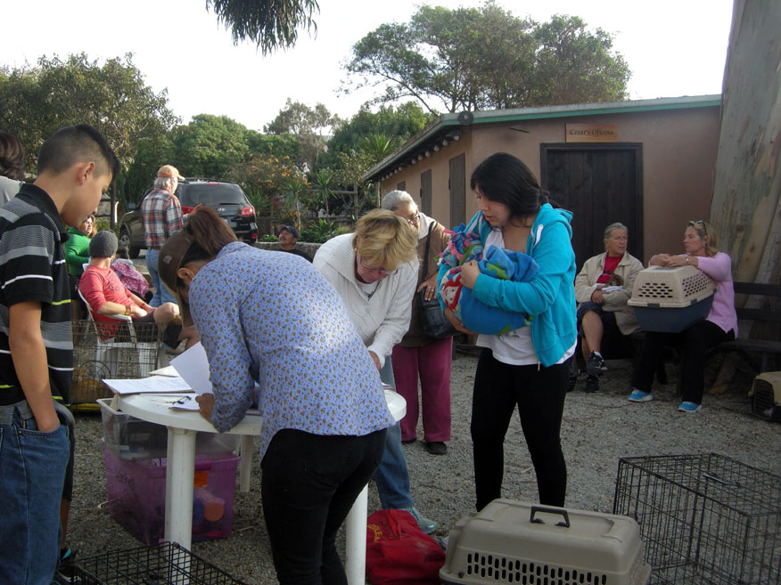 baja exiles spay neuter