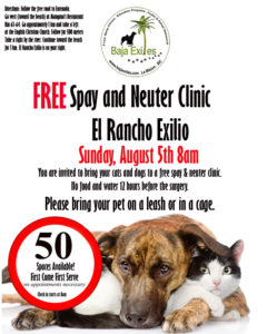 spay neuter baja exiles