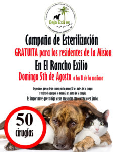 spay neuter baja exiles