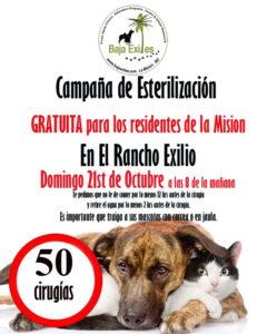 baja exiles spay neuter animal welfare