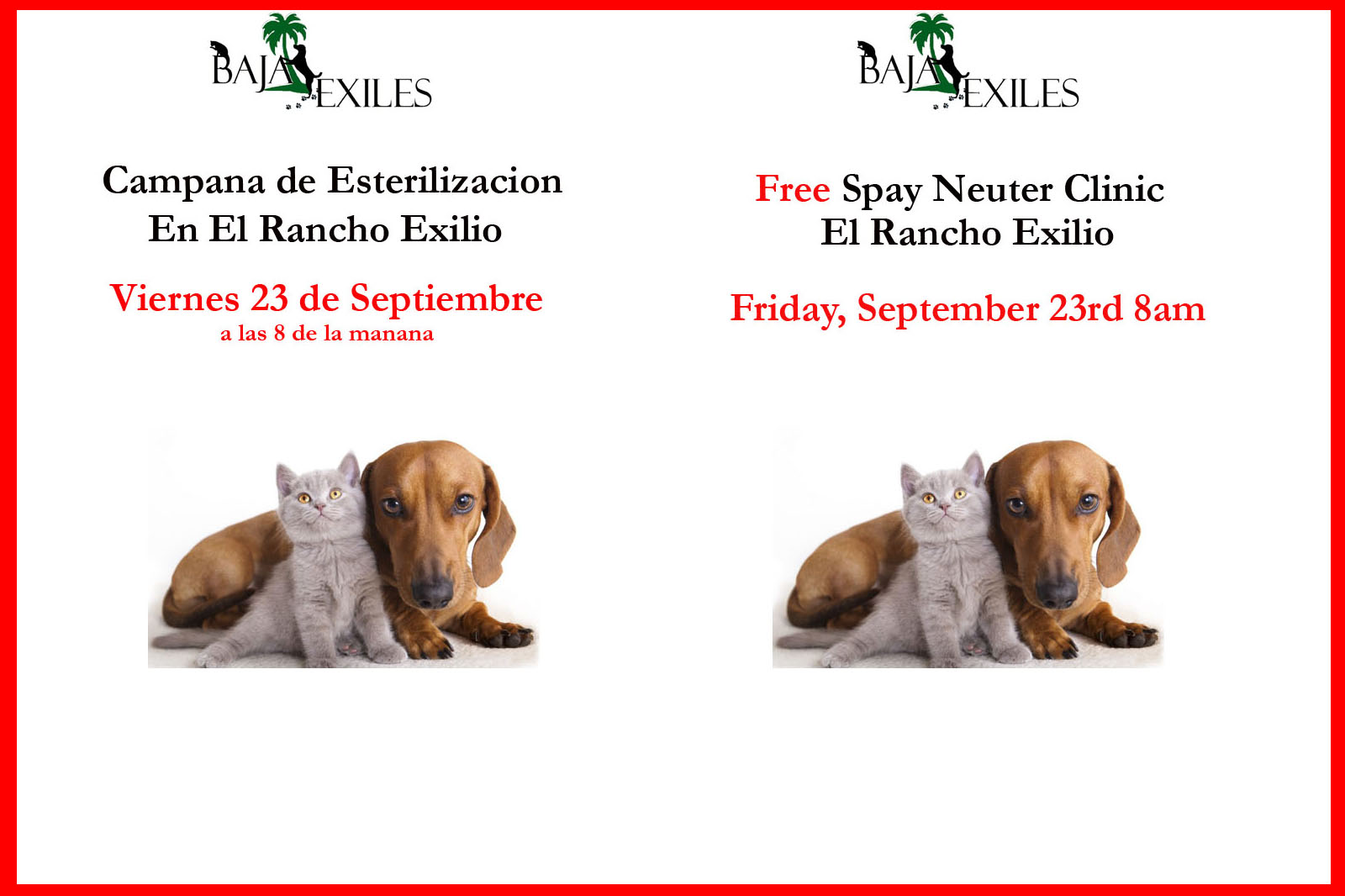 baja exiles spay neuter clinics